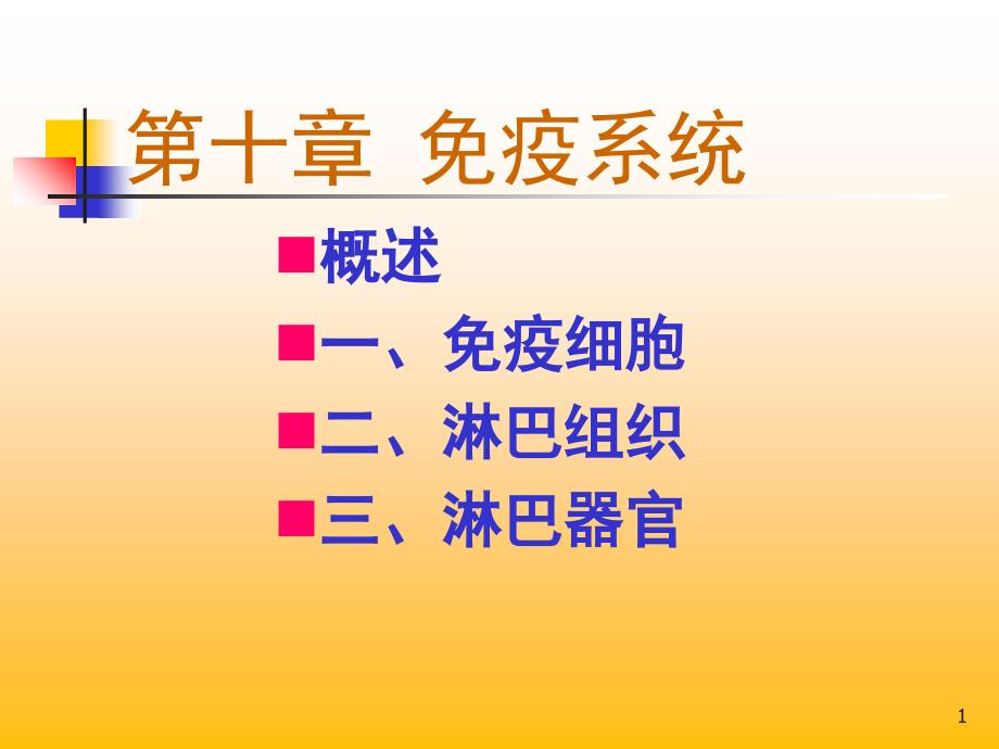 免疫系统组织学sdl_第1页