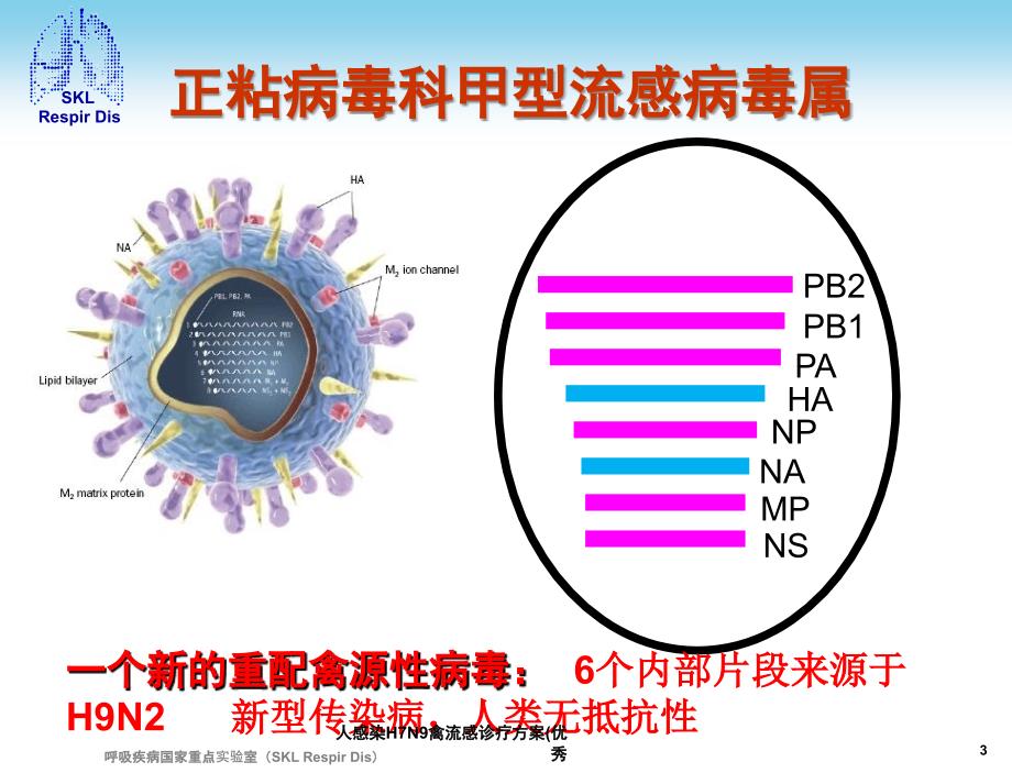 人感染H7N9禽流感诊疗方案优秀课件_第3页