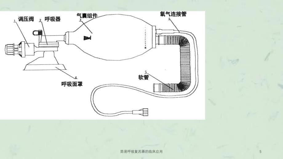 简易呼吸复苏器的临床应用课件_第5页