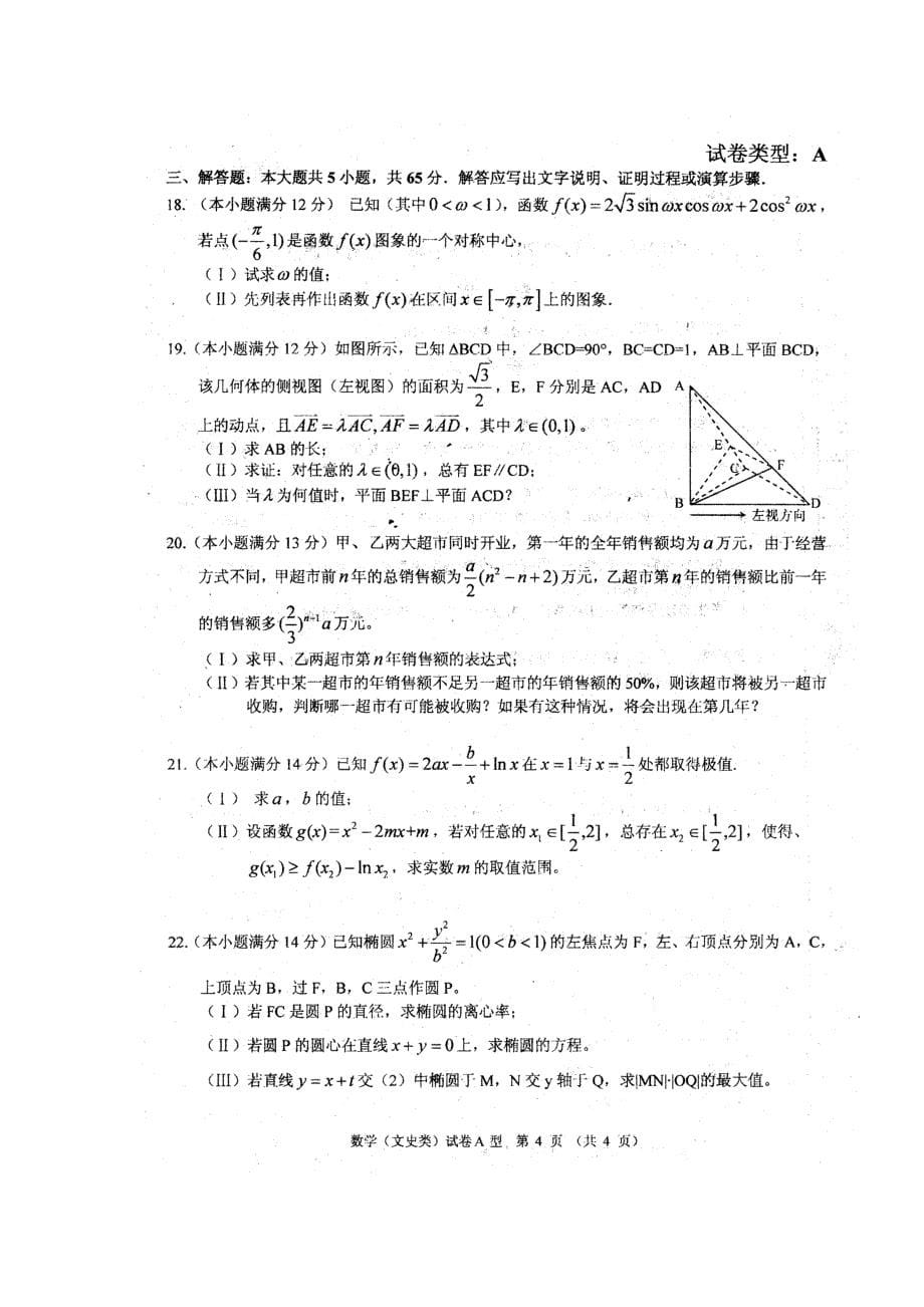 湖北省华中师大一附中届高三下学期高中毕业生五月适应性考试数学文史类试题扫描版_第5页