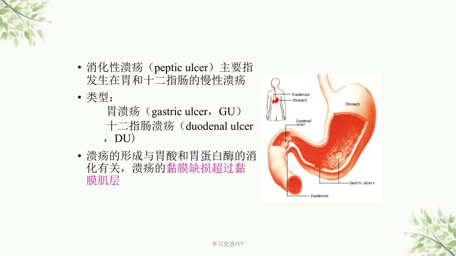 消化内科知识讲座ppt课件_第4页