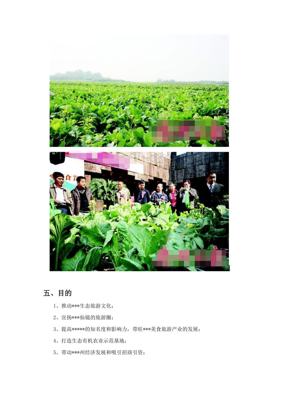 美食旅游节策划方案【草案】.docx_第3页