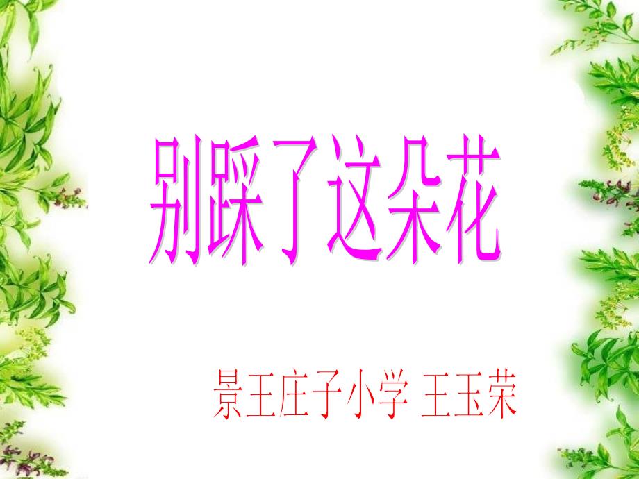 别踩了这朵花_第3页