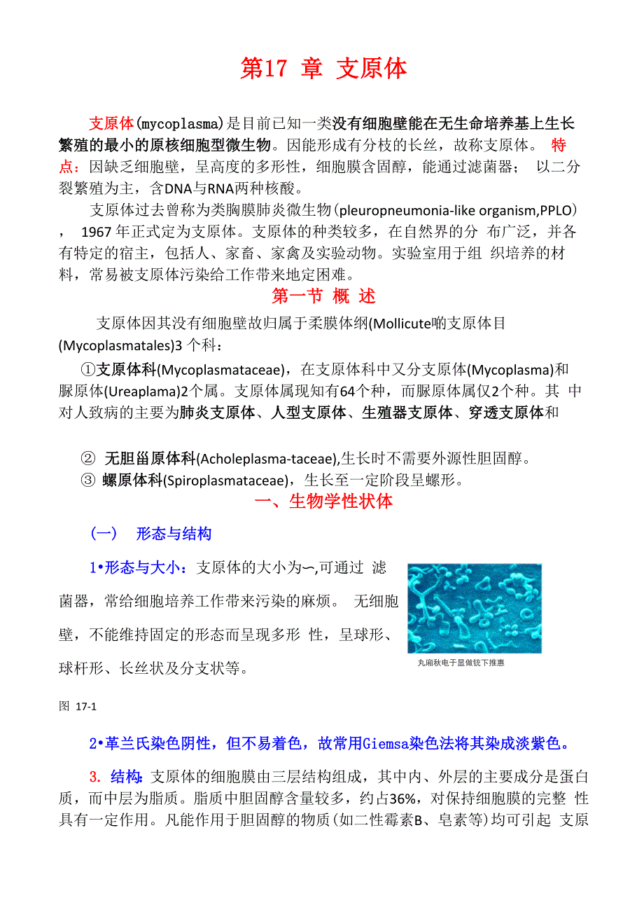 第17章支原体_第1页