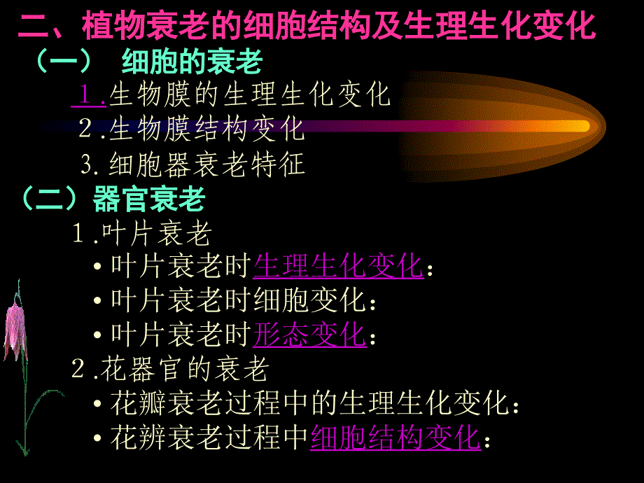 植物衰老与活性氧代谢.ppt_第2页