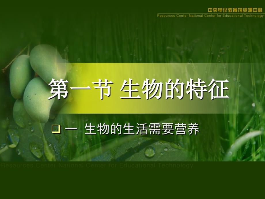 生物的特征.ppt_第1页