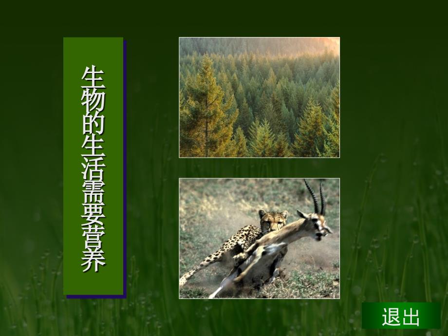 生物的特征.ppt_第2页