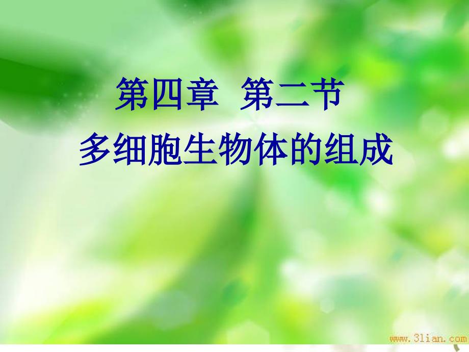 多细胞生物体的组成校公开课名师制作优质教学资料_第2页