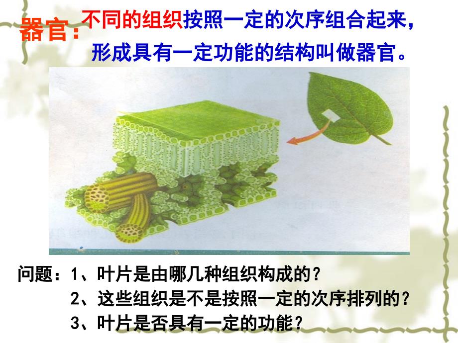 多细胞生物体的组成校公开课名师制作优质教学资料_第4页