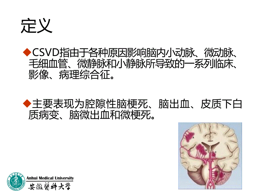 脑小血管病共识 ppt课件_第3页