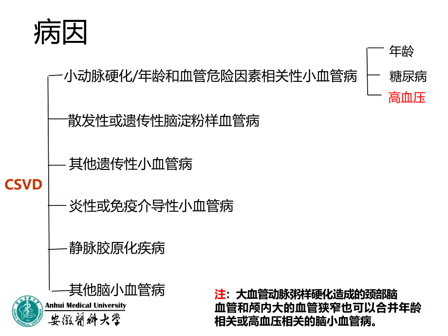 脑小血管病共识 ppt课件_第4页