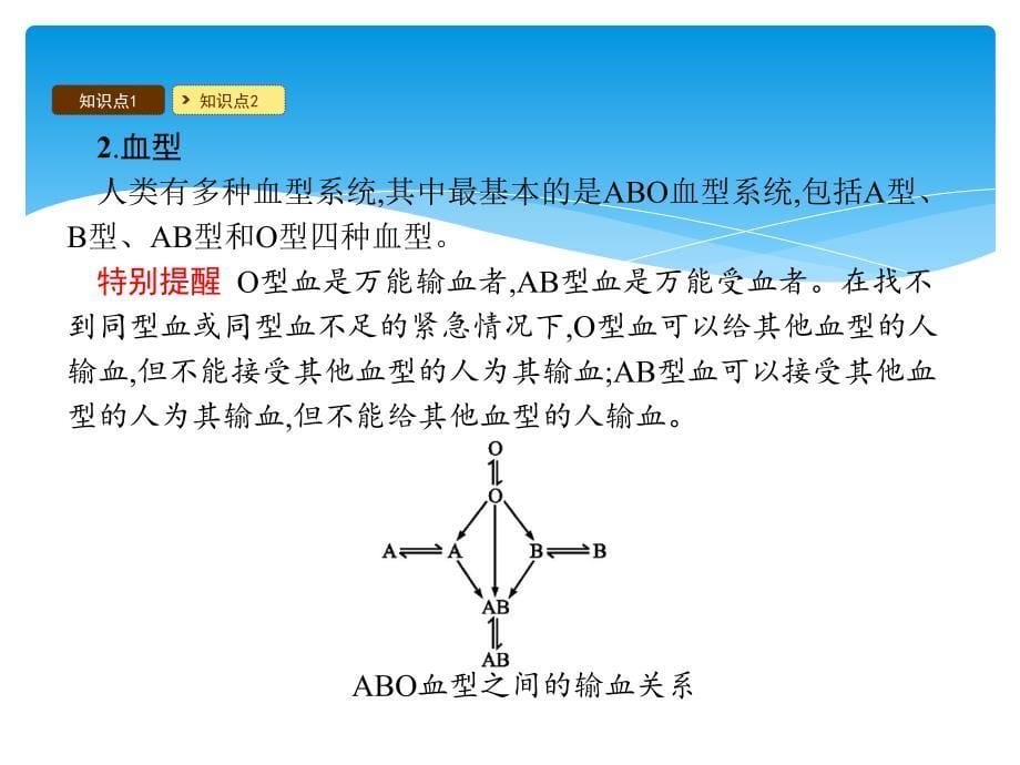 七年级生物下册91血液课件2新版北师大版_第5页