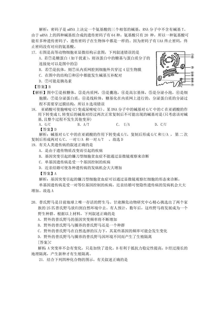 山东省青岛市2013届高三生物11月月考新人教版_第5页