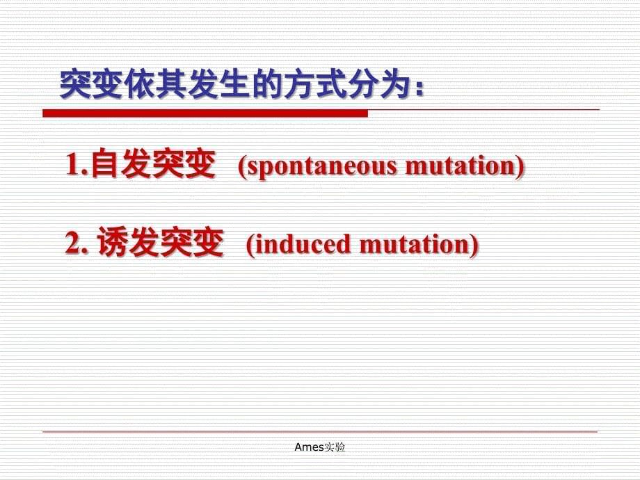 Ames实验课件_第5页