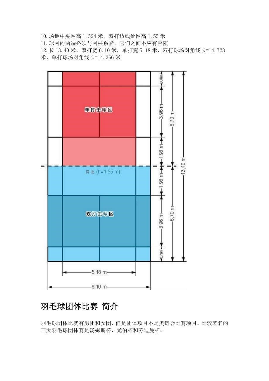 羽毛球比赛规则_第5页