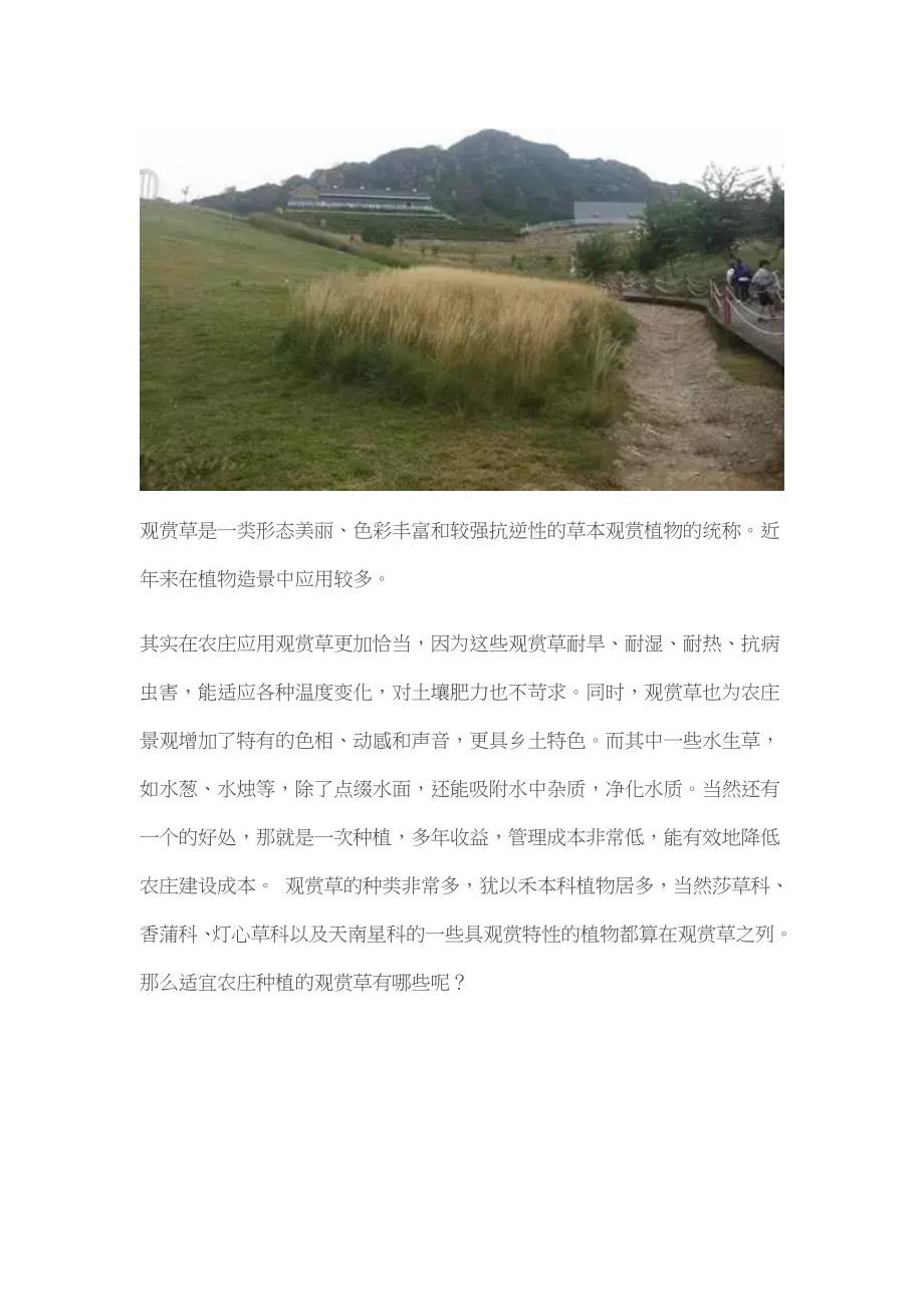 农庄观赏草种类的选择.doc_第1页