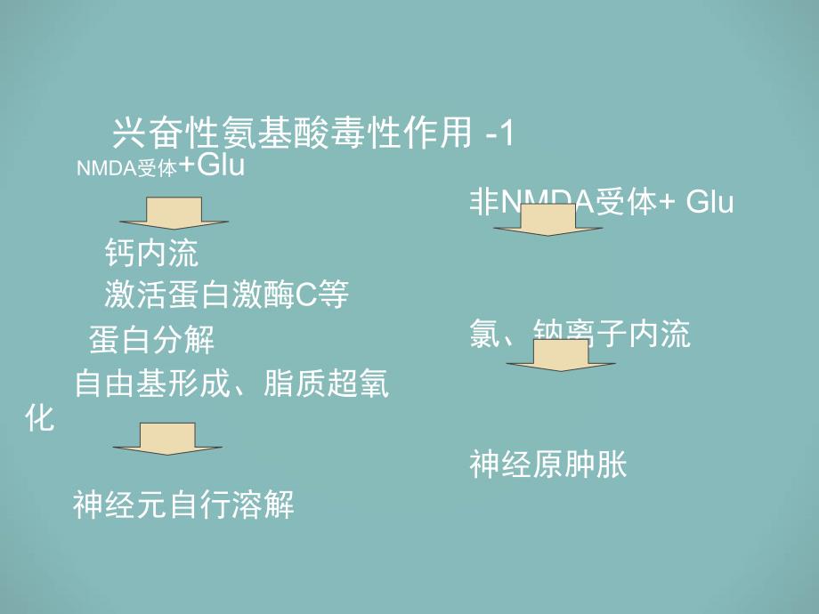 北京华科中西医结合医院神经肌肉科分析：运动神经元发病因素_第4页