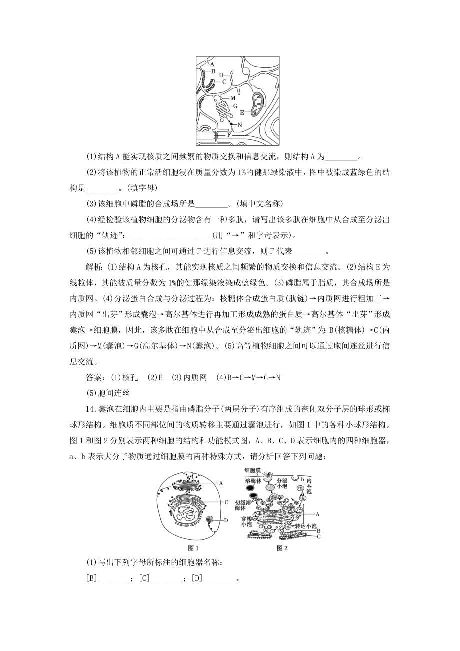 高考生物一轮复习第二单元细胞的结构与物质的输入和输出课时跟踪检测六细胞器--系统内的分工合作_第5页