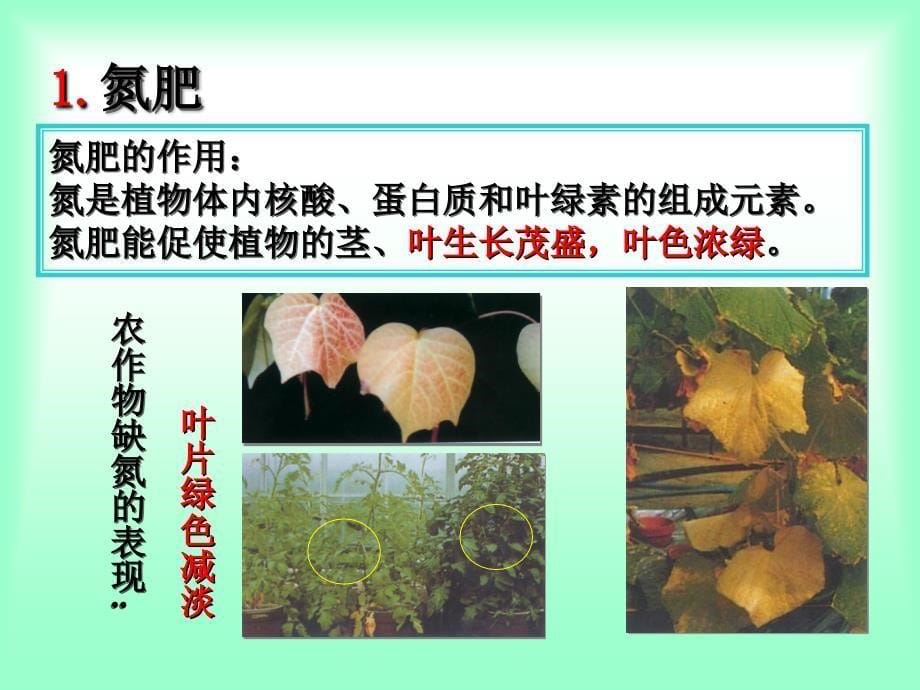 化学肥料PPT课件_第5页