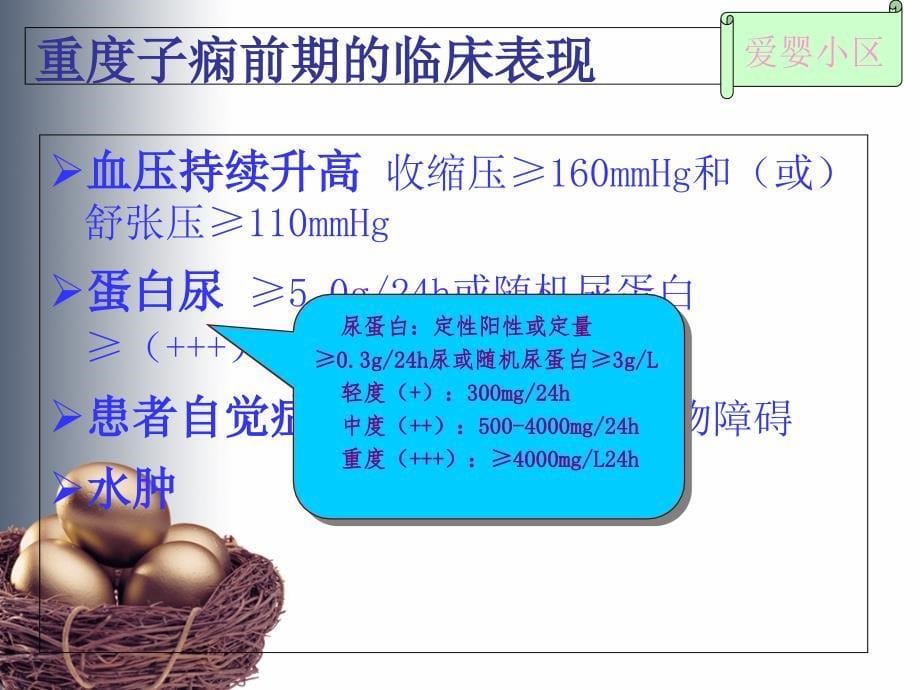 重度子痫前期护理查房_第5页