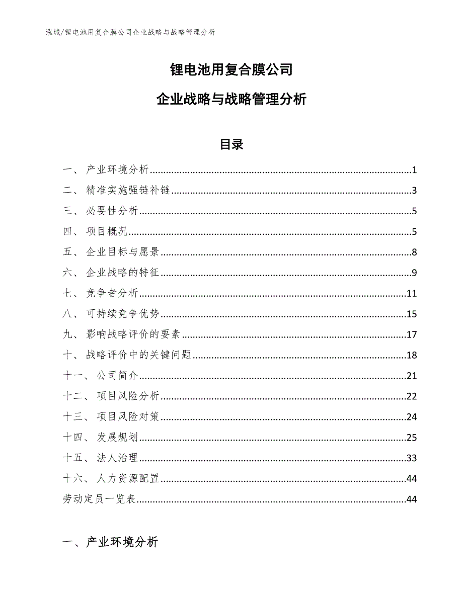 锂电池用复合膜公司企业战略与战略管理分析_参考_第1页