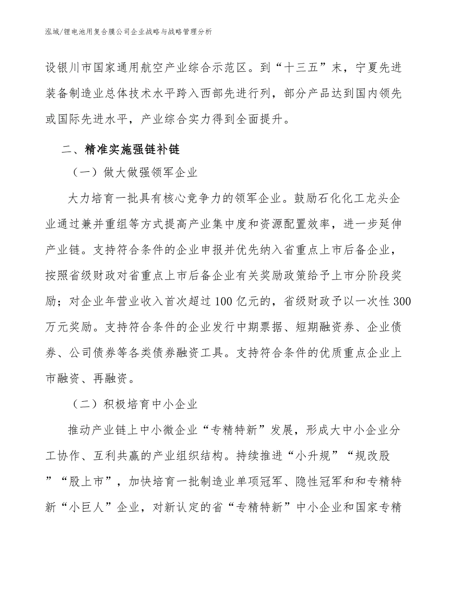 锂电池用复合膜公司企业战略与战略管理分析_参考_第3页