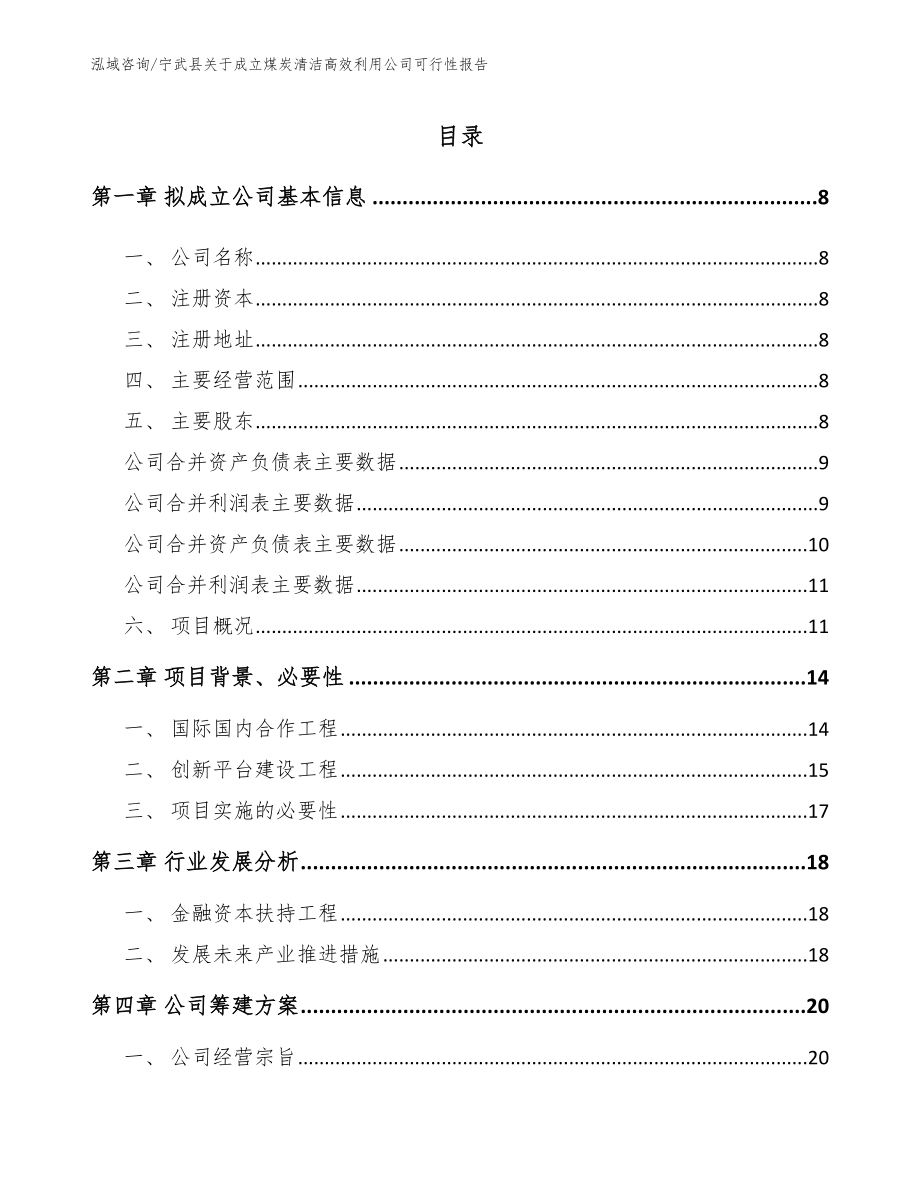 宁武县关于成立煤炭清洁高效利用公司可行性报告参考范文_第2页