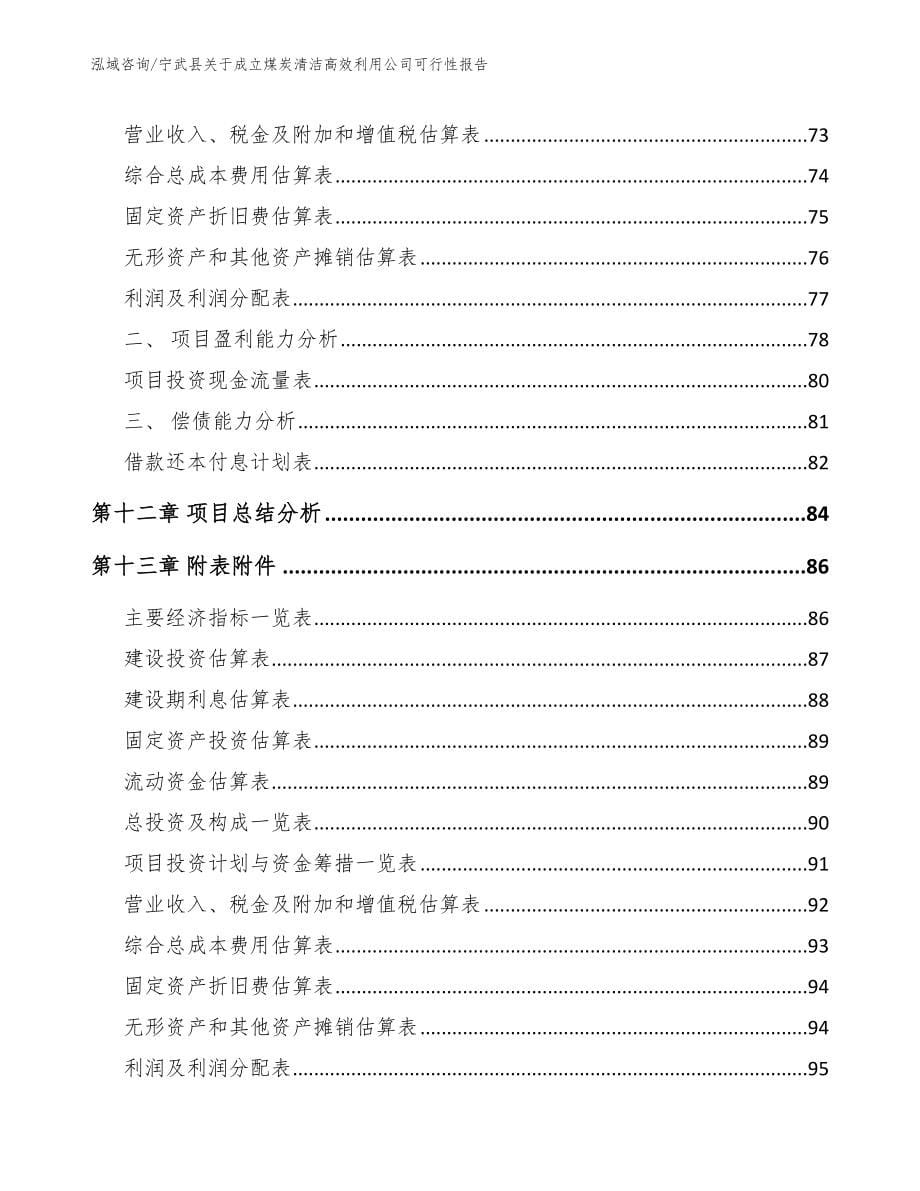 宁武县关于成立煤炭清洁高效利用公司可行性报告参考范文_第5页