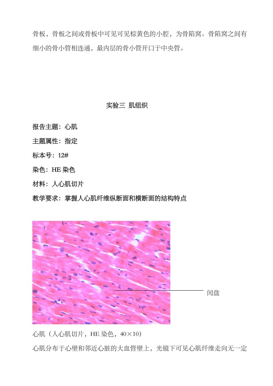 2023年组织胚胎学实验报告_第4页