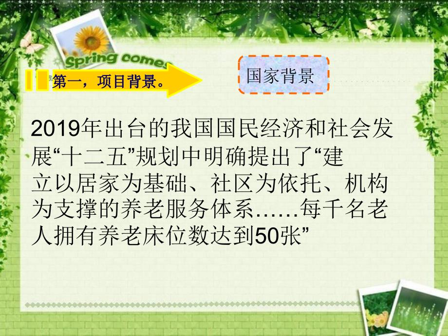 【可行性报告】私人养老院建设项目可行性研究报告PPT-PPT课件_第2页