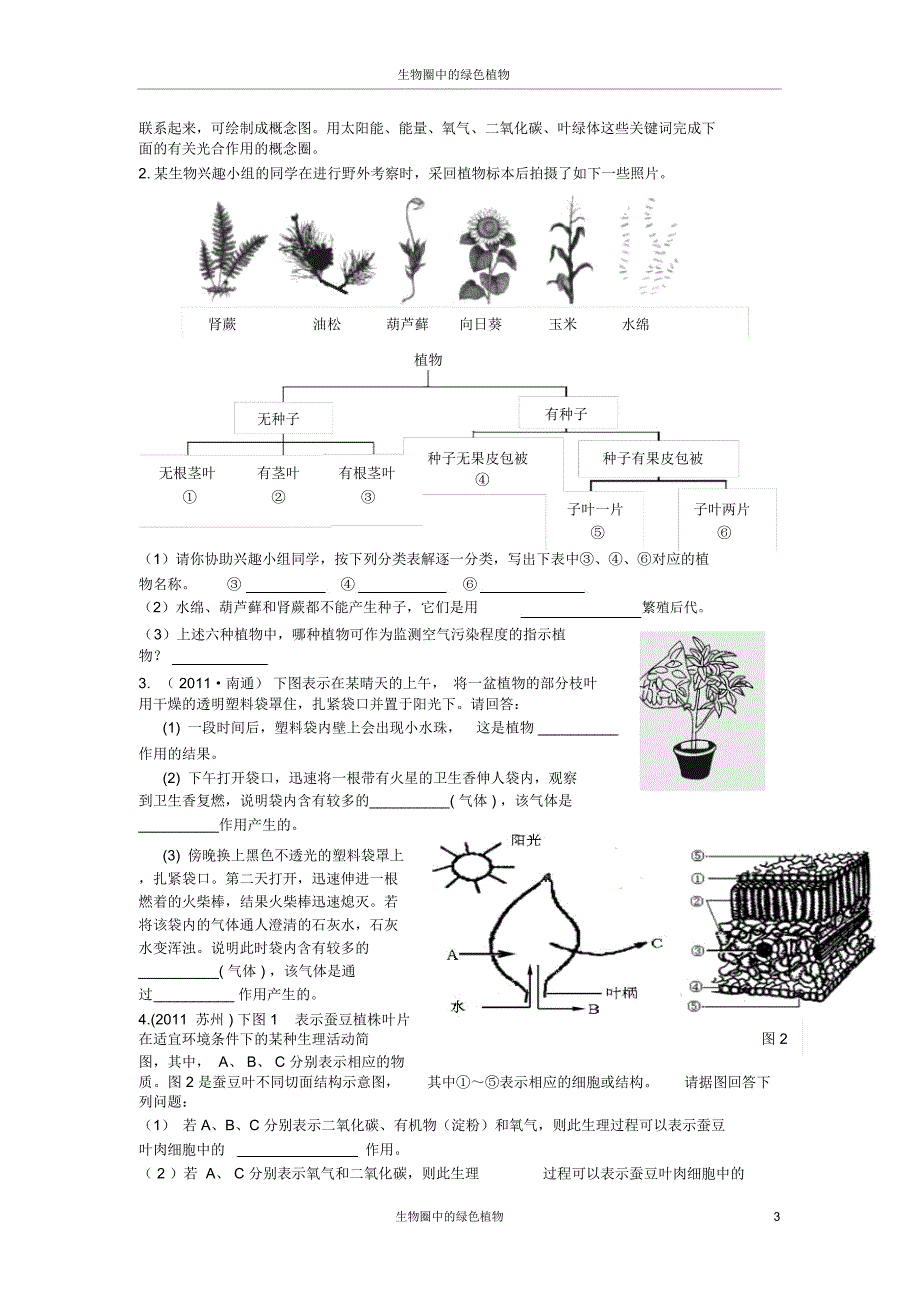 《生物圈中的绿色植物》练习题_第3页