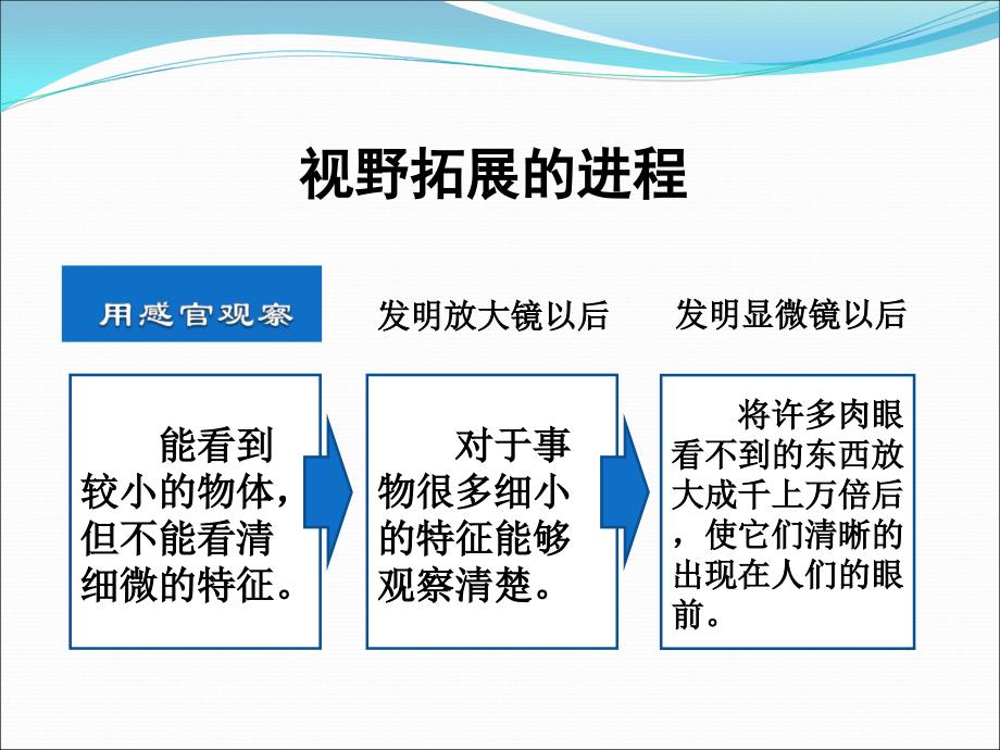 18微小世界和我们_第4页