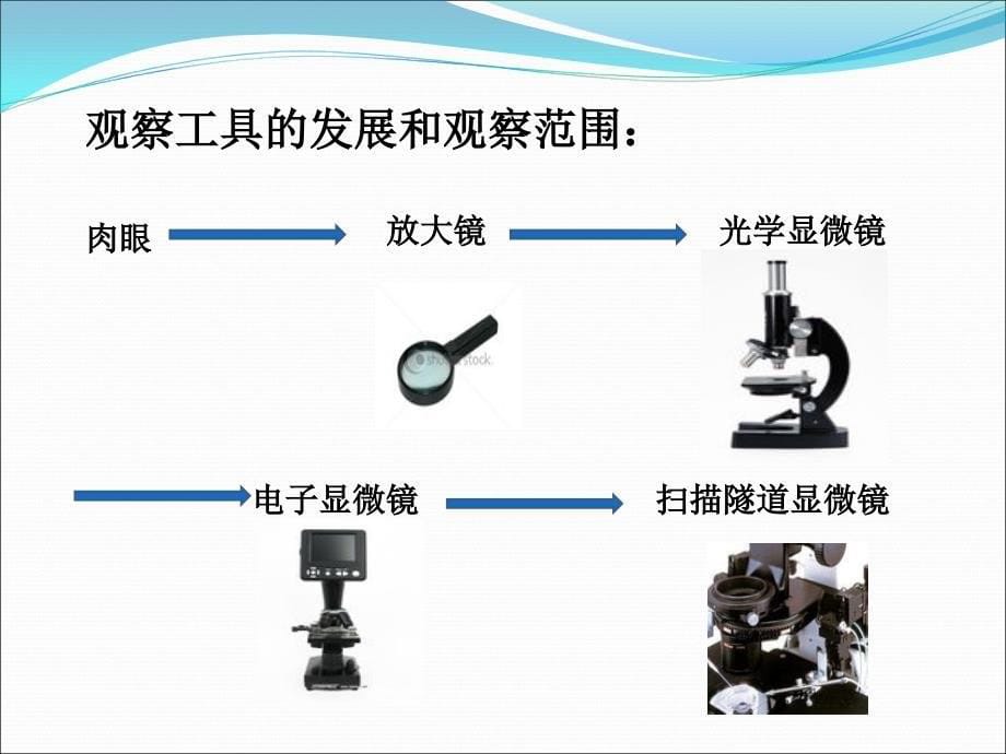 18微小世界和我们_第5页