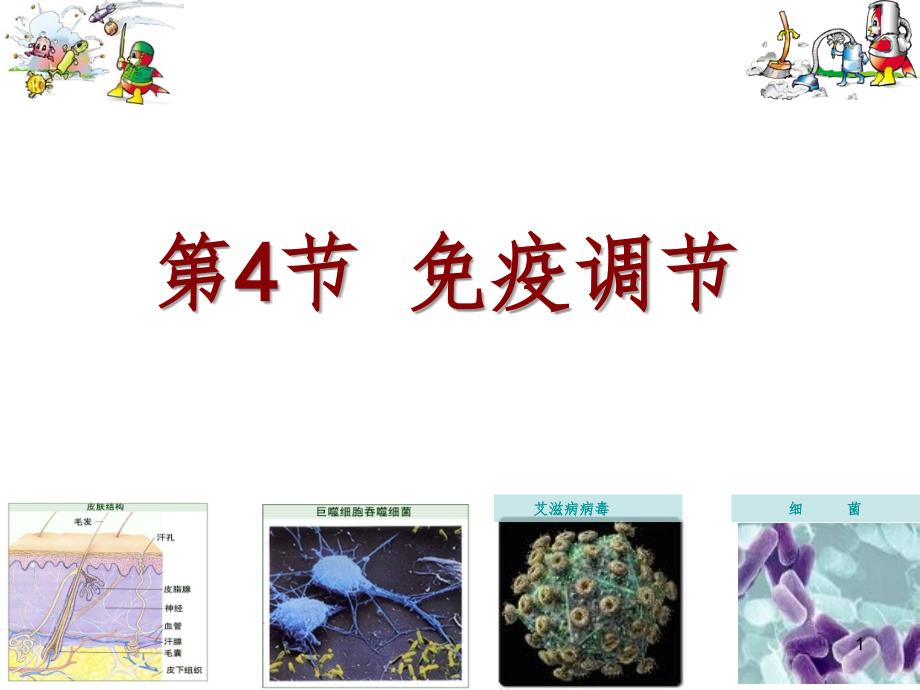 疫调节理科PPT课件_第1页