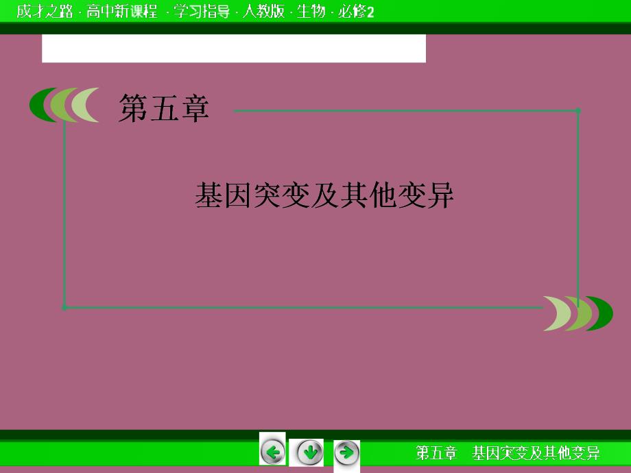 高一生物人教版必修252染色体变异ppt课件_第2页