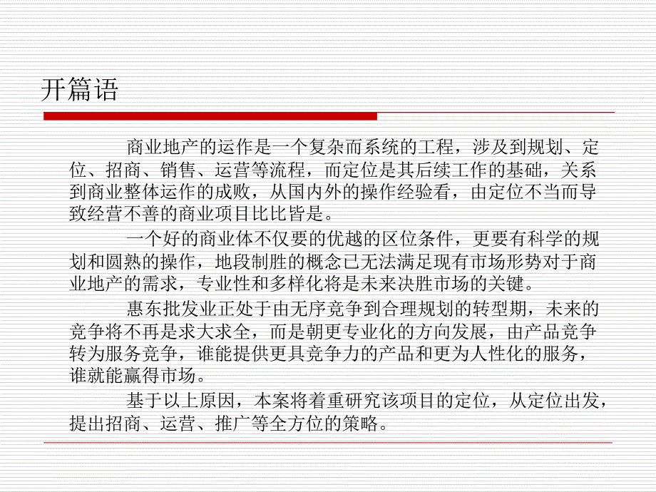 服装批发城项目招商运营运作报告课件_第2页