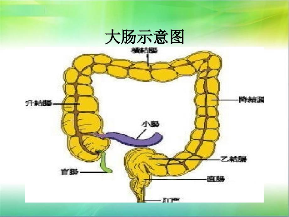 肠镜检查前准备课件_第4页