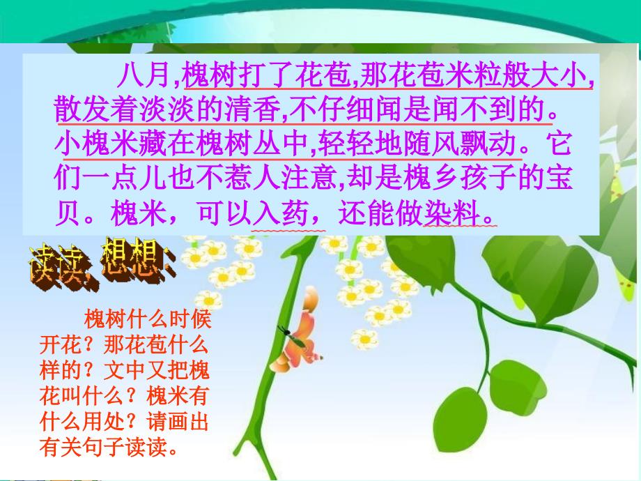 《槐乡的孩子课件_第4页