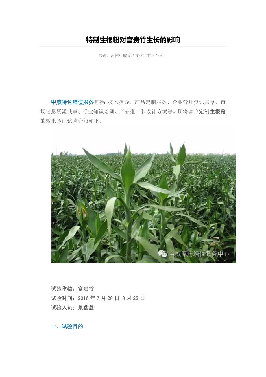 特制生根粉对富贵竹生长的影响.docx_第1页