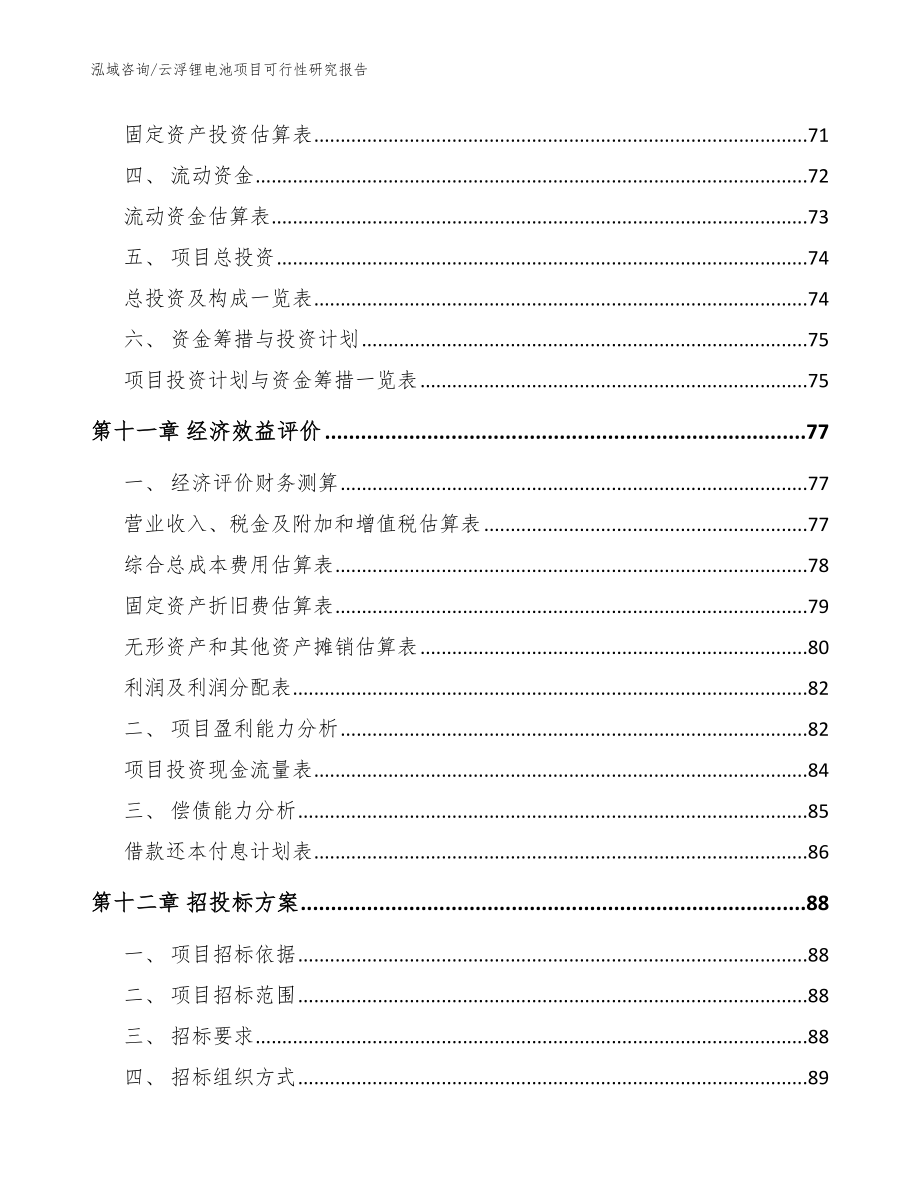 云浮锂电池项目可行性研究报告（范文）_第4页