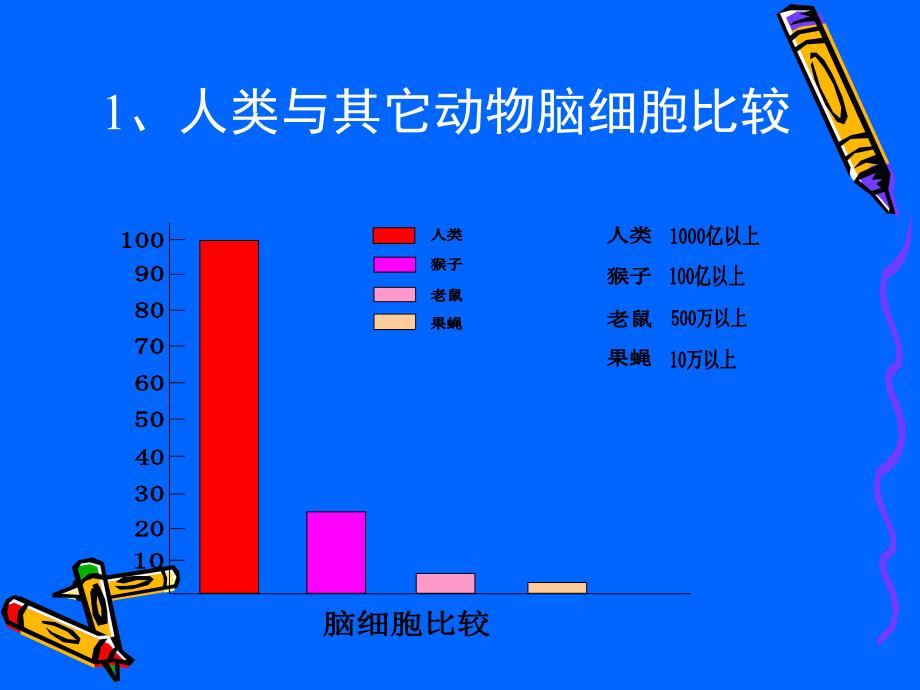 最新：了解认识大脑研究适于脑的教学文档资料_第2页