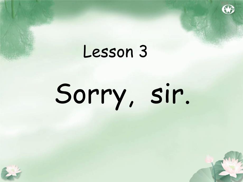 Lesson3Sorrysir1_第3页