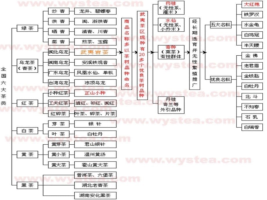 第八章茶叶PPT课件_第5页