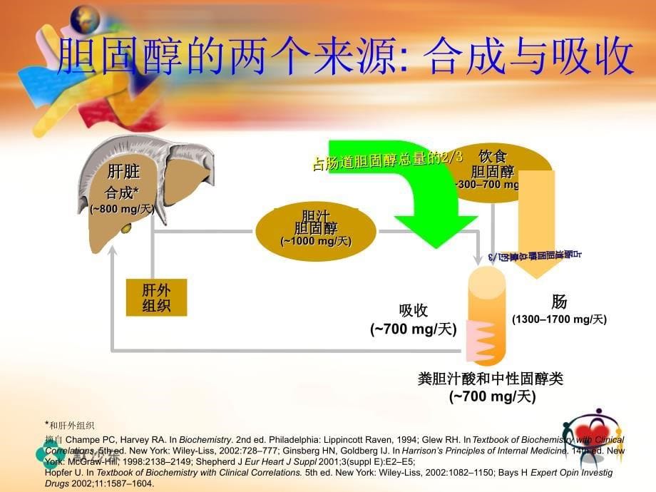 高血脂危害与防治_第5页