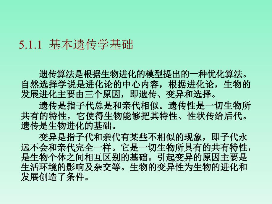 遗传算法详解ppt课件_第2页