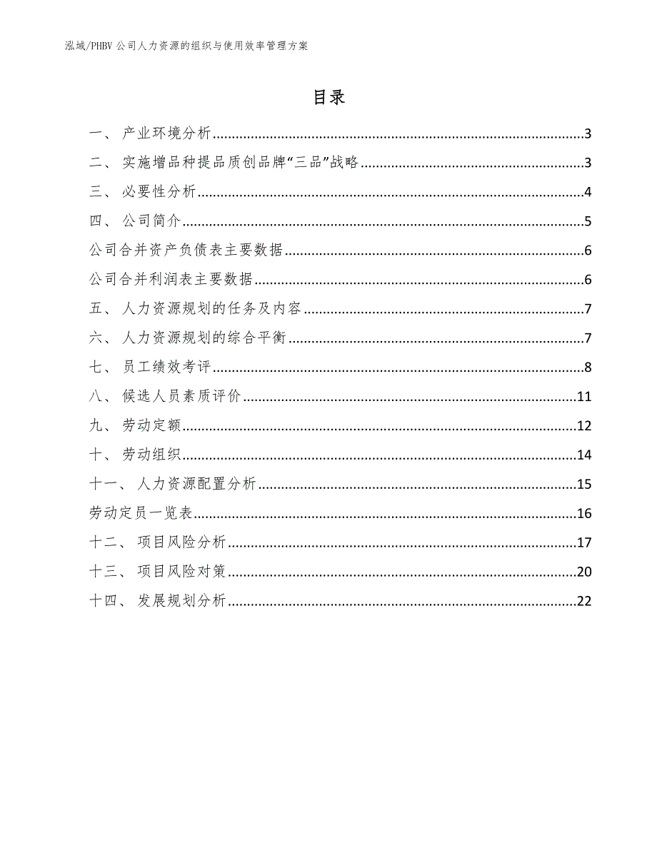 PHBV公司人力资源的组织与使用效率管理方案（参考）_第2页