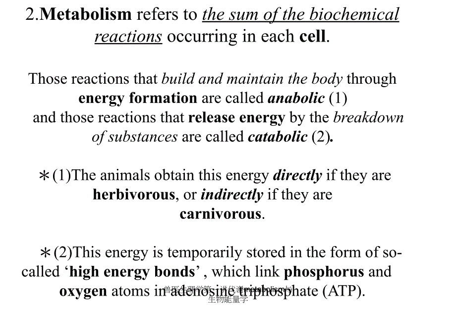 兽医生理学第一讲代谢metabolism与生物能量学课件_第3页