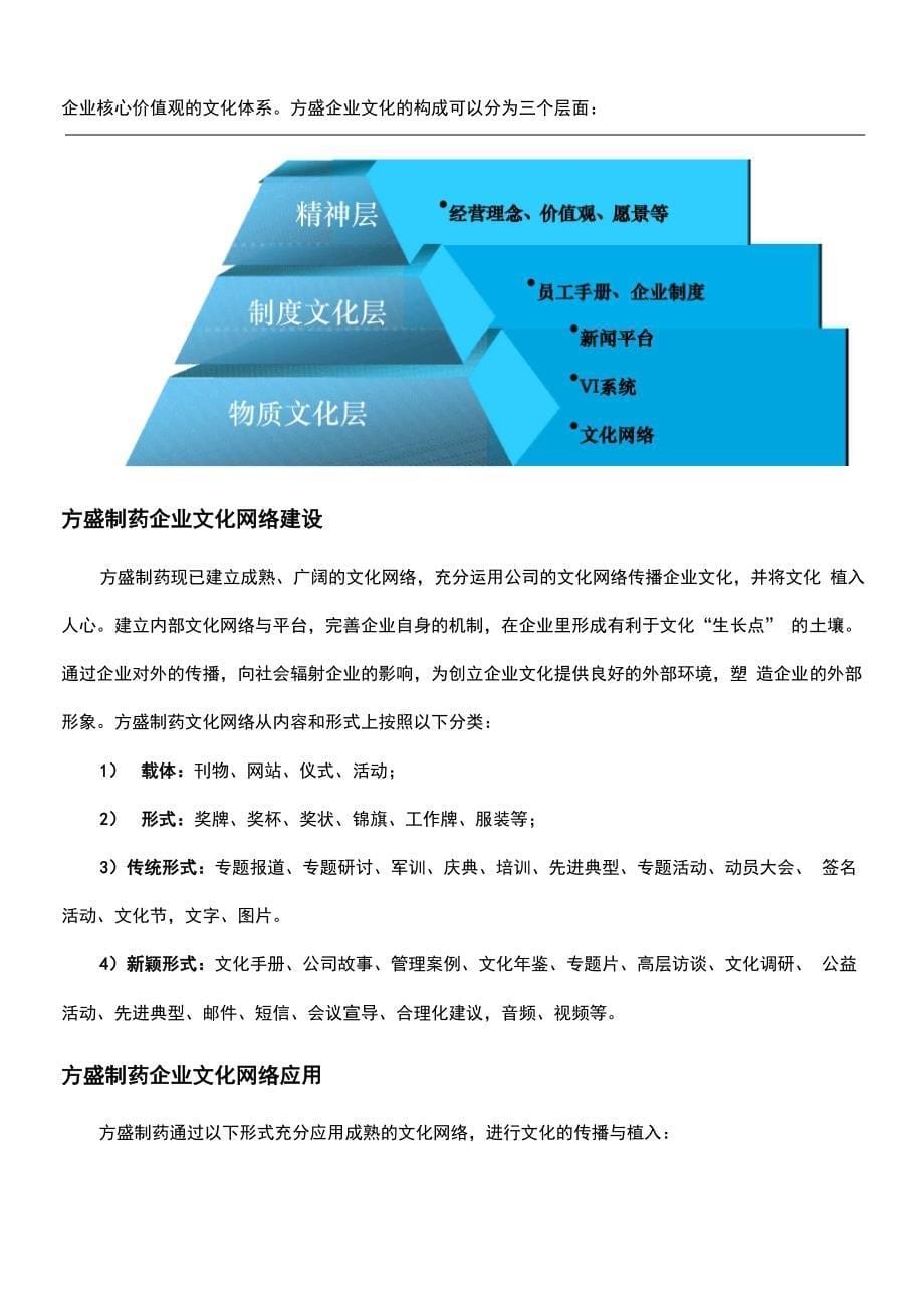 企业文化建设案例_第5页