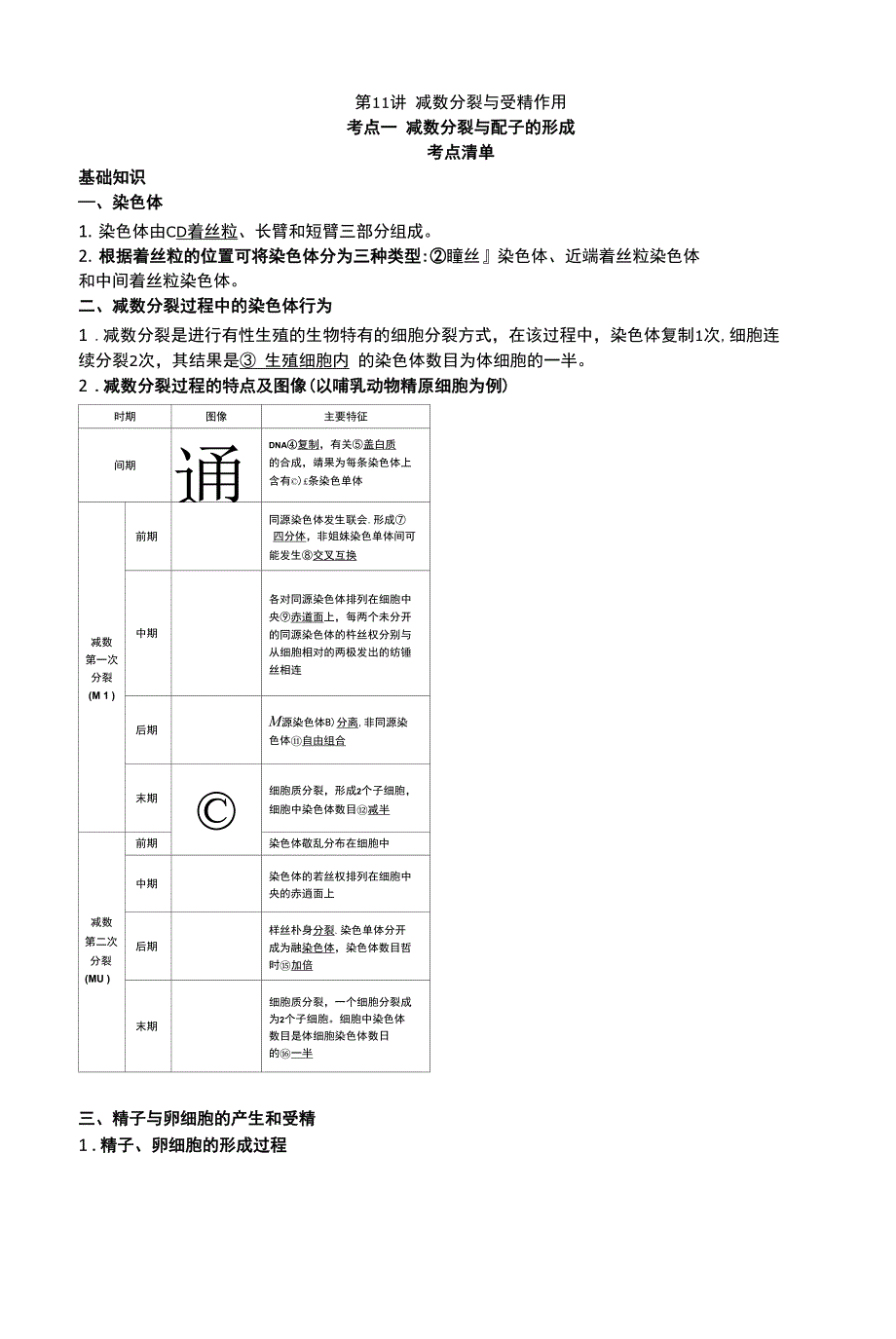 第11讲减数分裂和受精作用配套讲义（教师版）_第1页