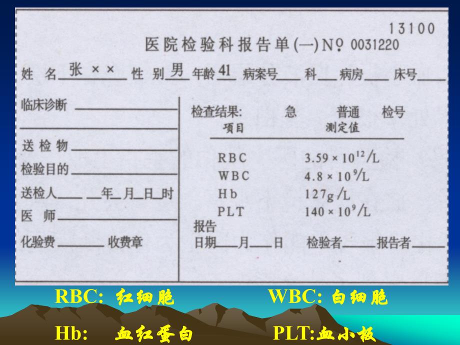 流动的组织血液课件_第1页